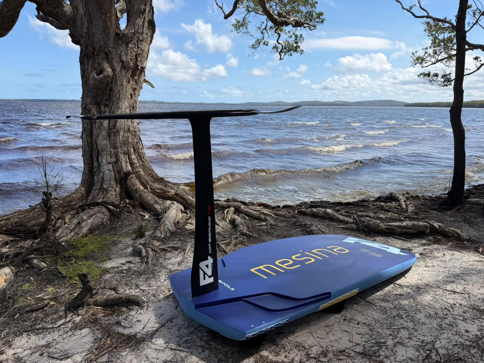 Customer Review: F4 Messina Windfoil Board by Berowne Hlavaty